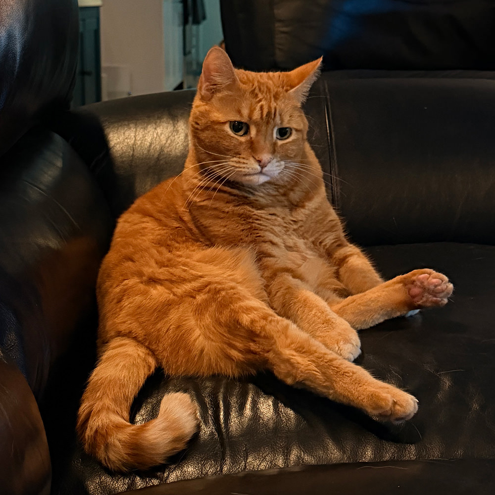 Jenny bathing those long legs!