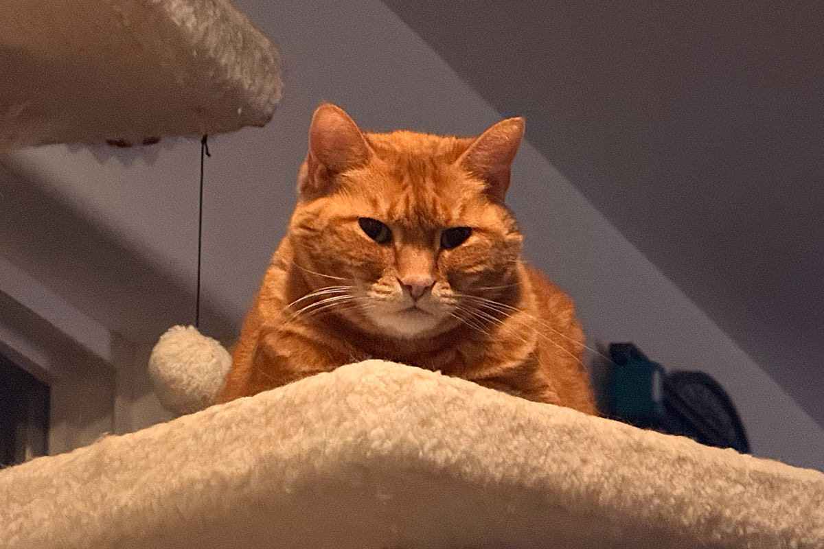 Jenny glaring down at me.