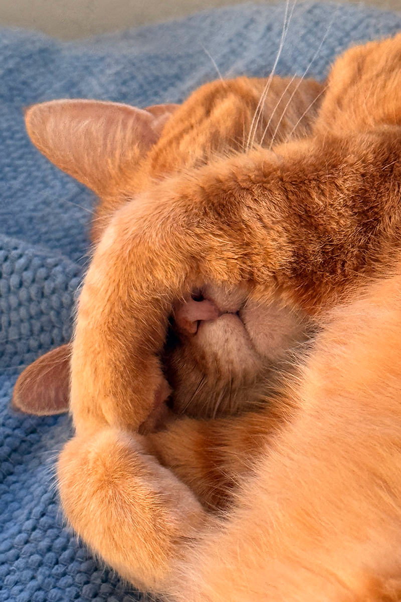 Jenny covering her eyes so I can't look at her.