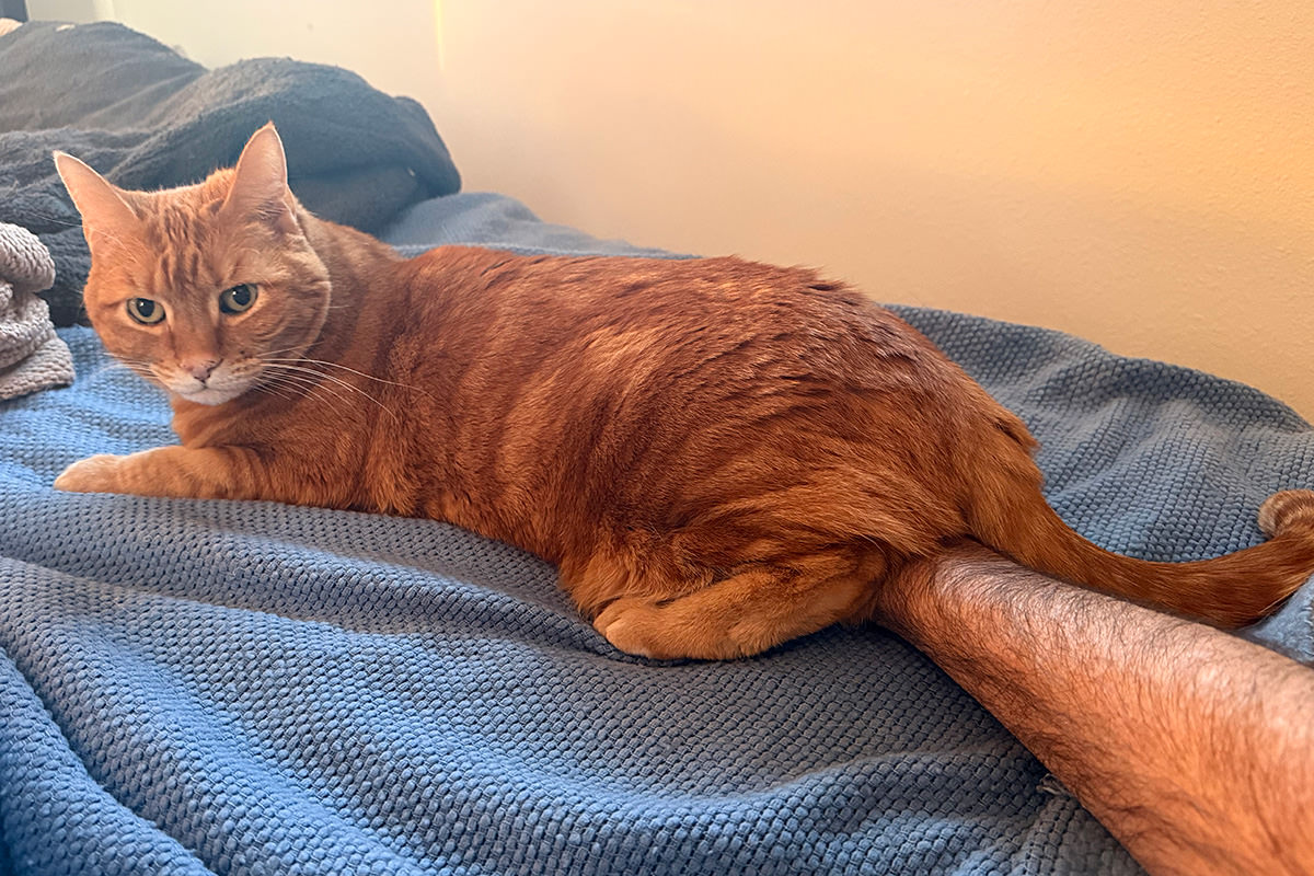 Jenny sitting on my hand.