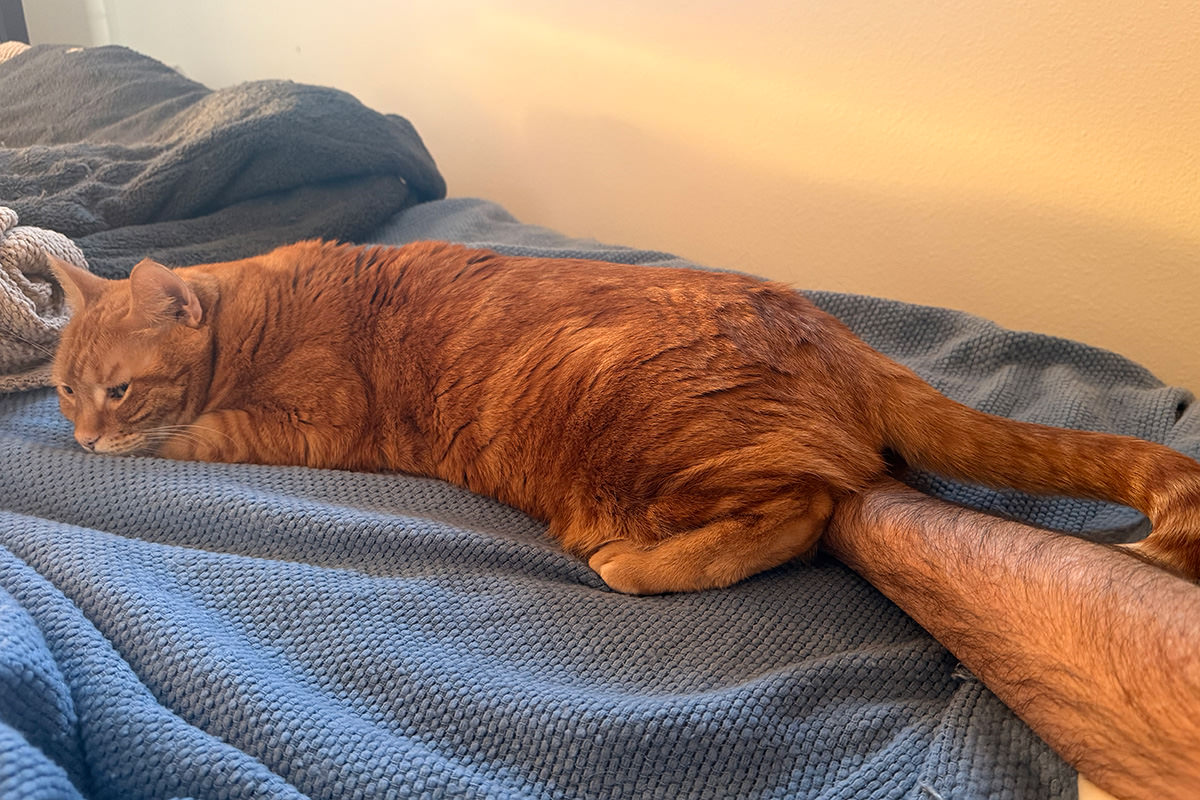 Jenny laying on my hand.