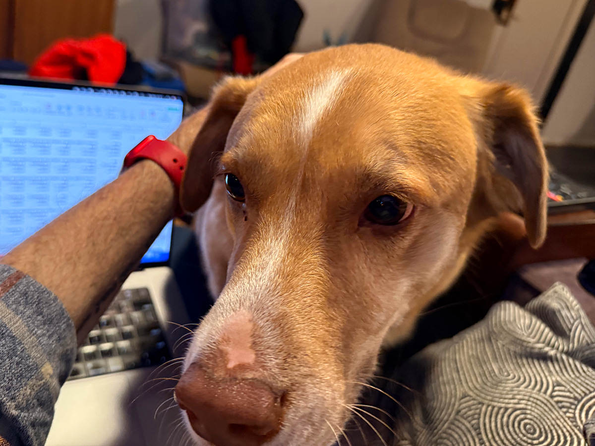 Puppy licking my face.