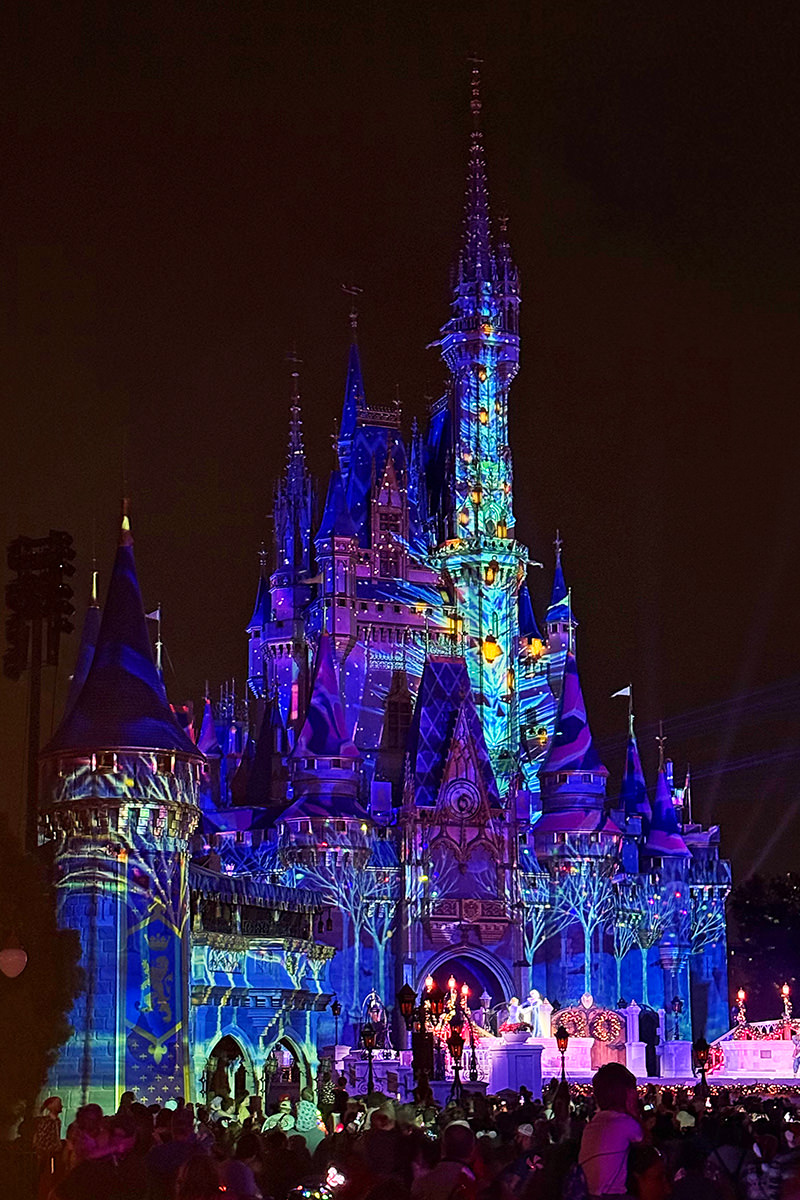 The castle at Walt Disney World with a projection behind it