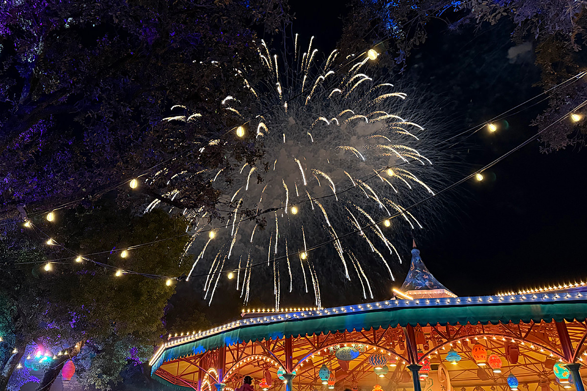 Fireworks at Disney World