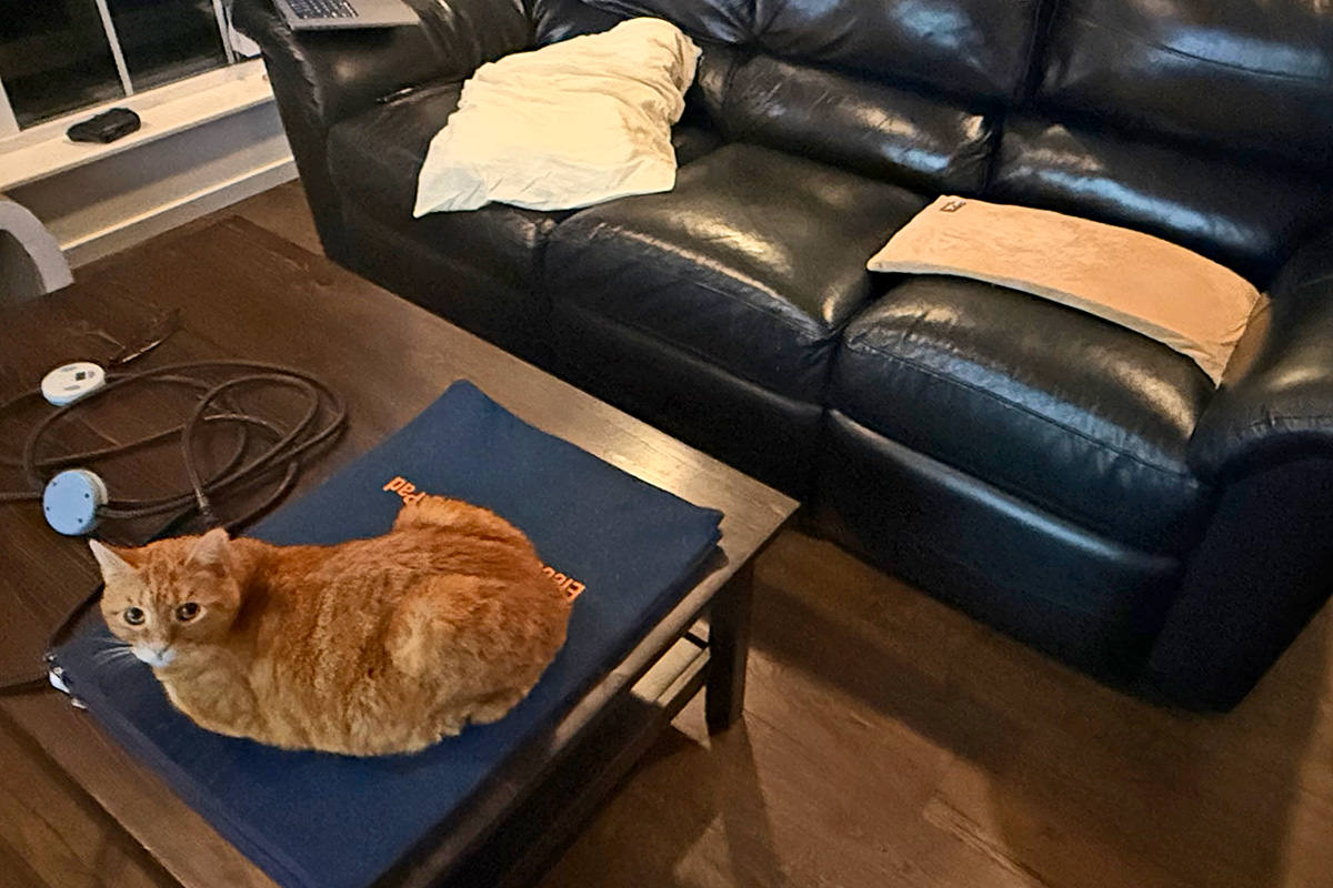 Jenny on the old pad while the new one sits empty.