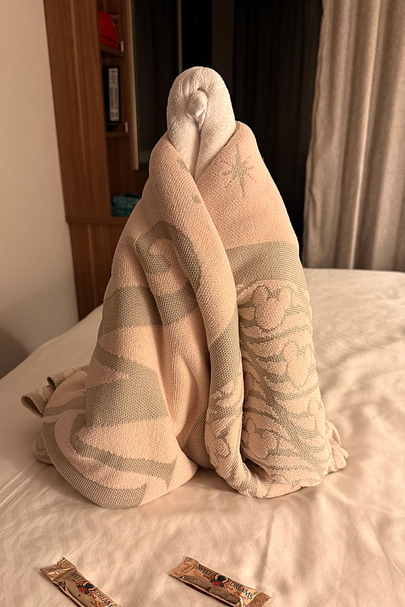 Towel sculpture
