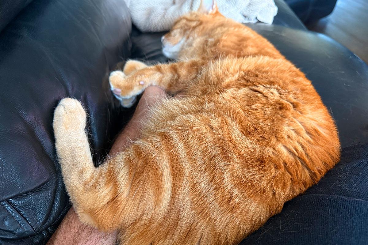 Jenny wrapped around my arm. Oh well. I wasn't using it anyway!