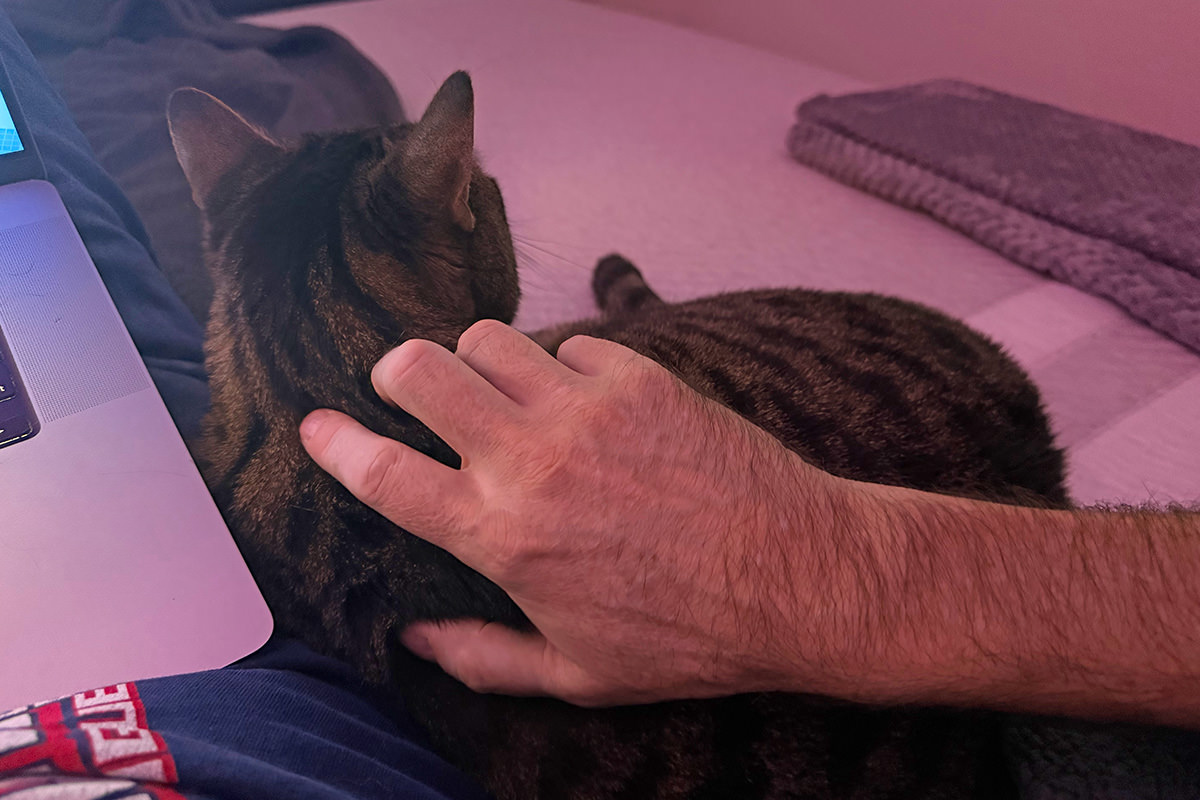 Jake snuggled next to me during the rain storm