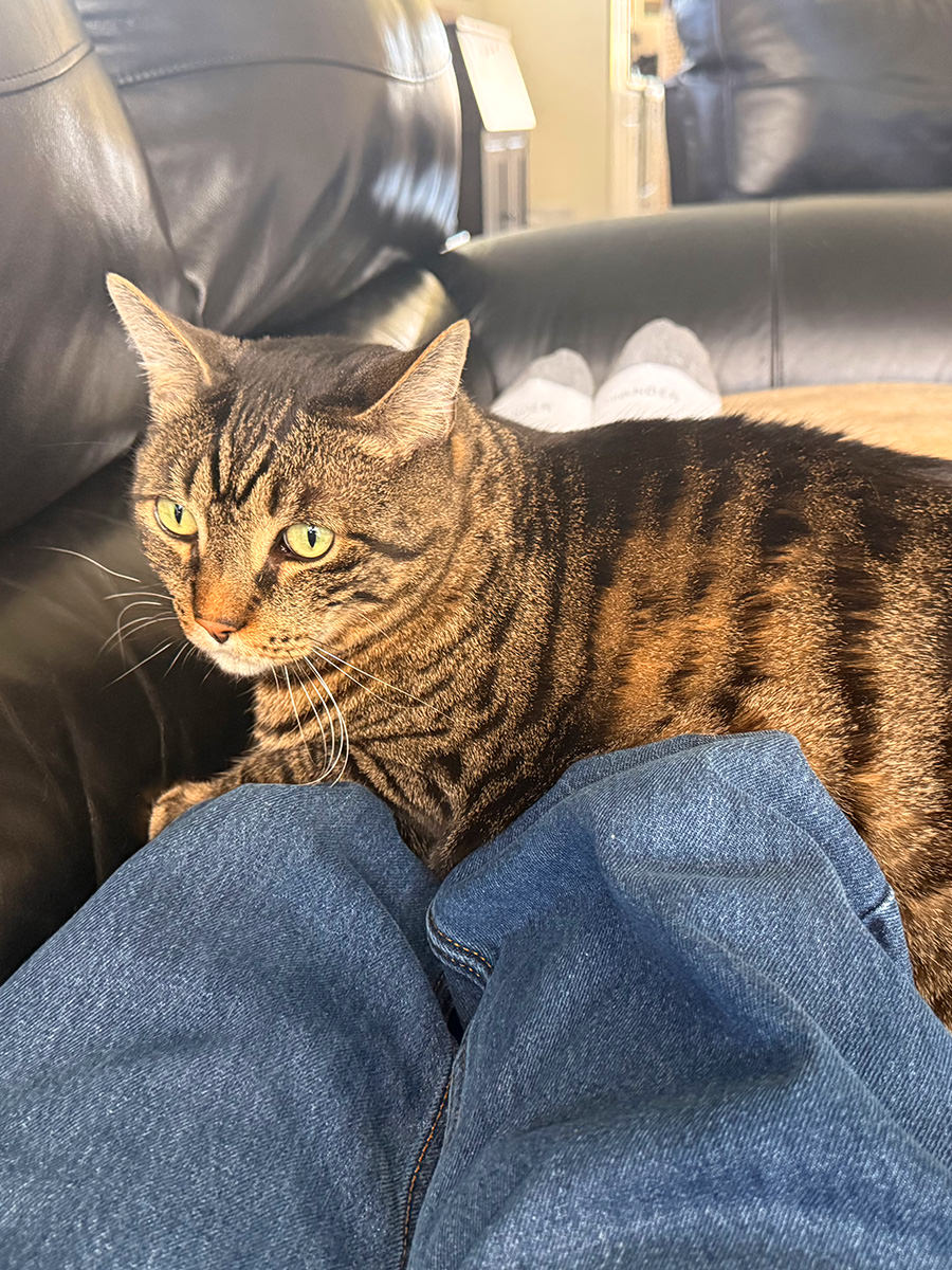 Jake laying across my legs.