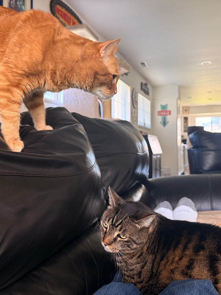 Jenny looking down on Jake laying across my legs.