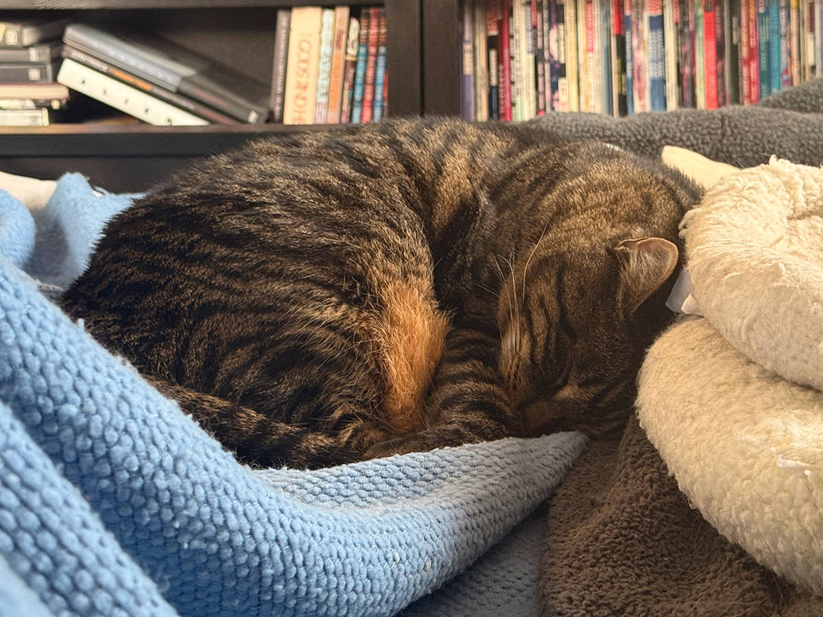 Jake cuddled up next to me.