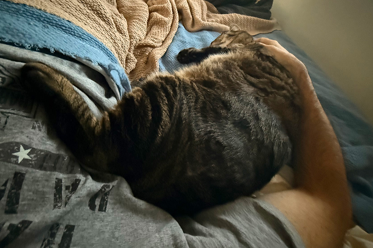 Jake laying on the bed next to me with one of his feet on my stomache.