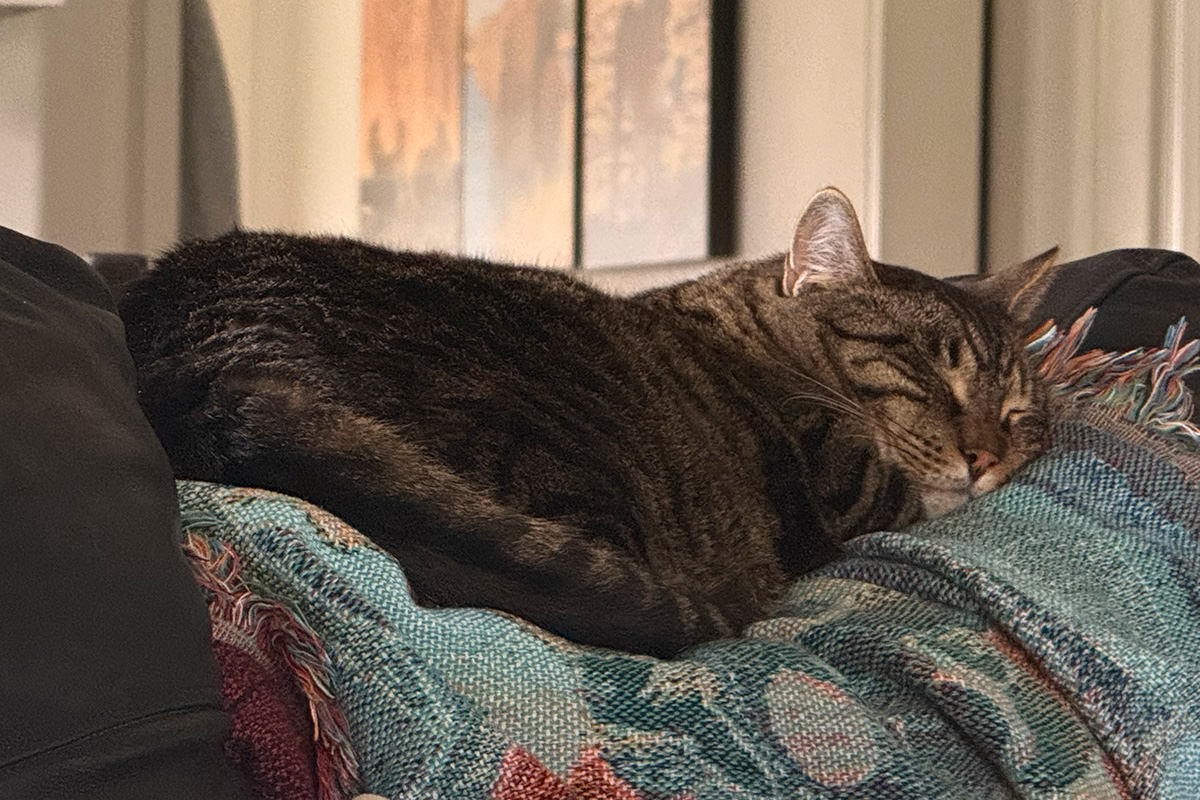 Jake sleeps.