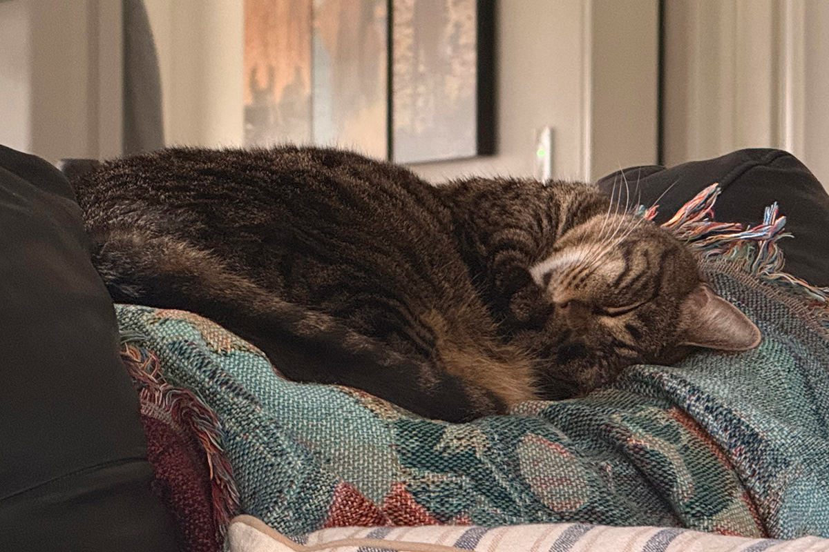 Jake sleeps.