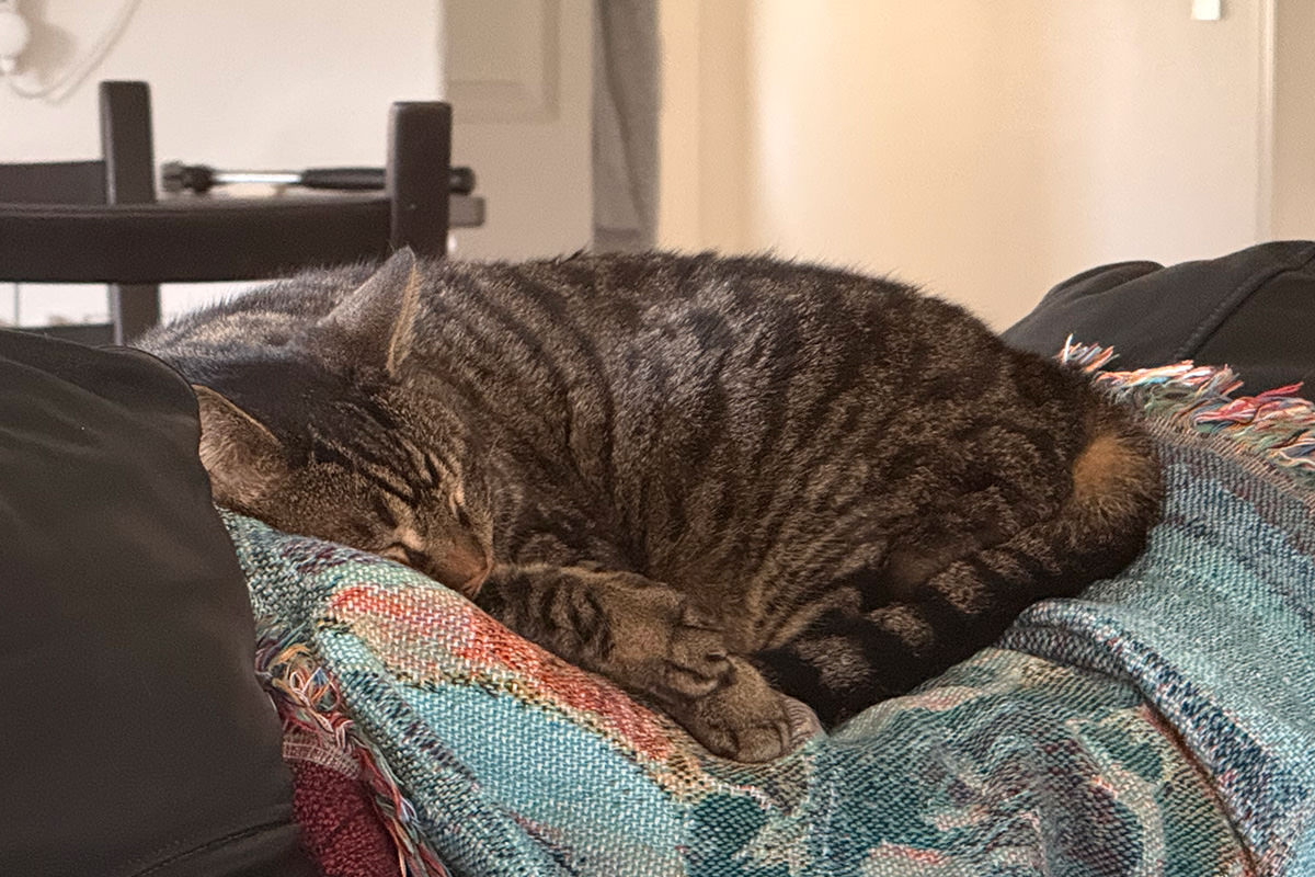 Jake sleeps.