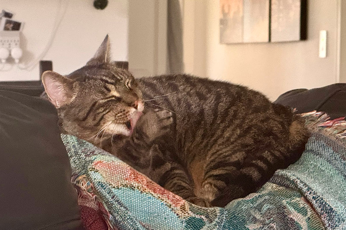 Jake sleeps.