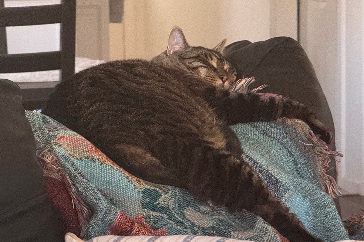 Jake sleeps.