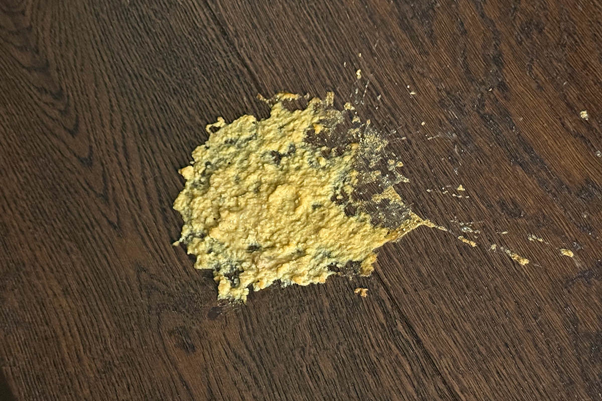 Smalls Vomit