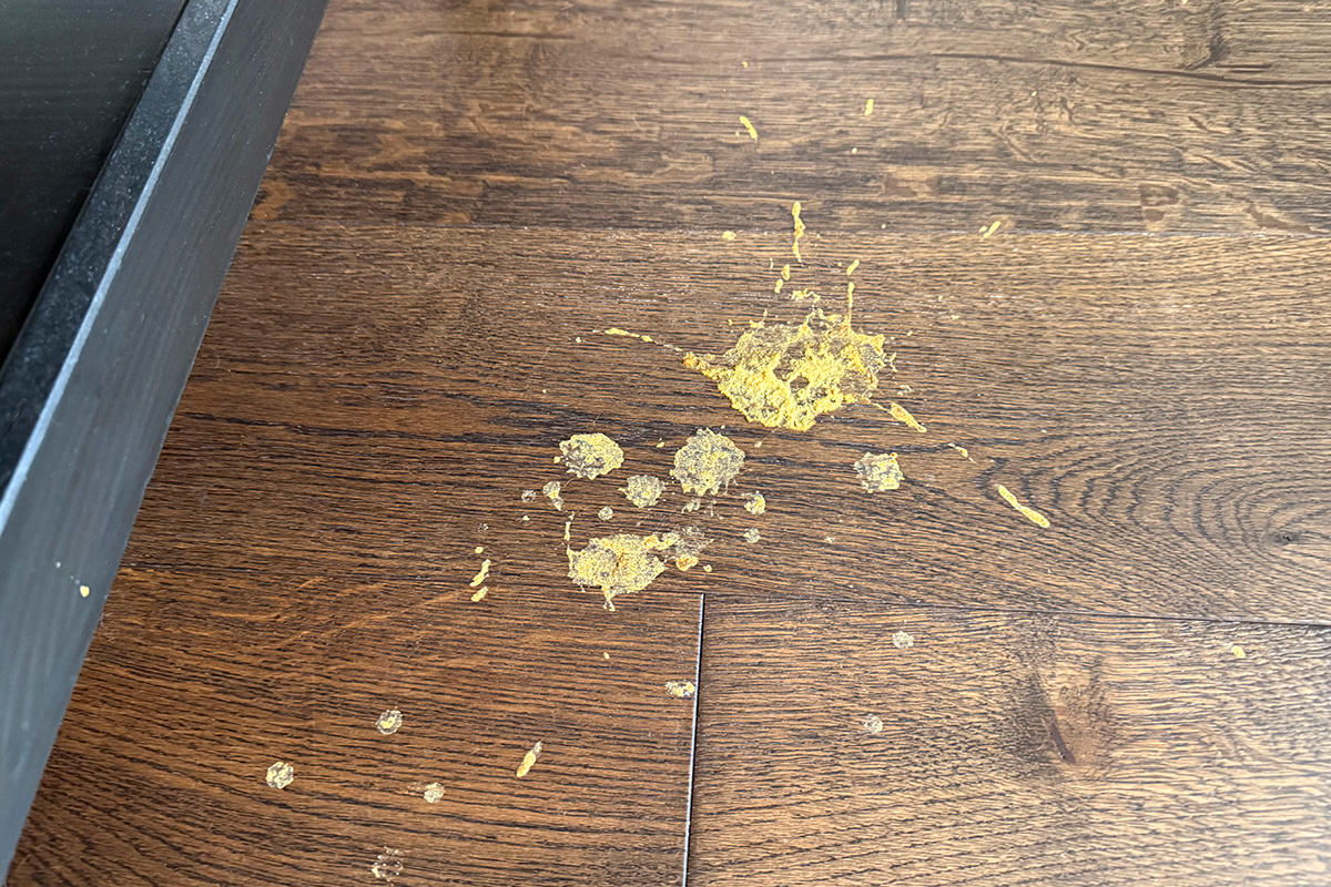 Smalls Vomit