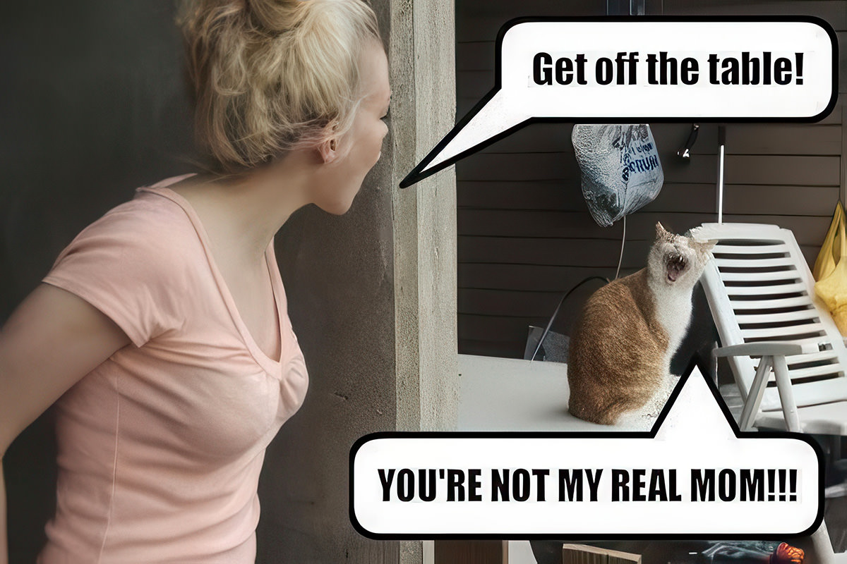 Woman yelling for a cat to get off the table and he says YOU'RE NOT MY REAL MOM!