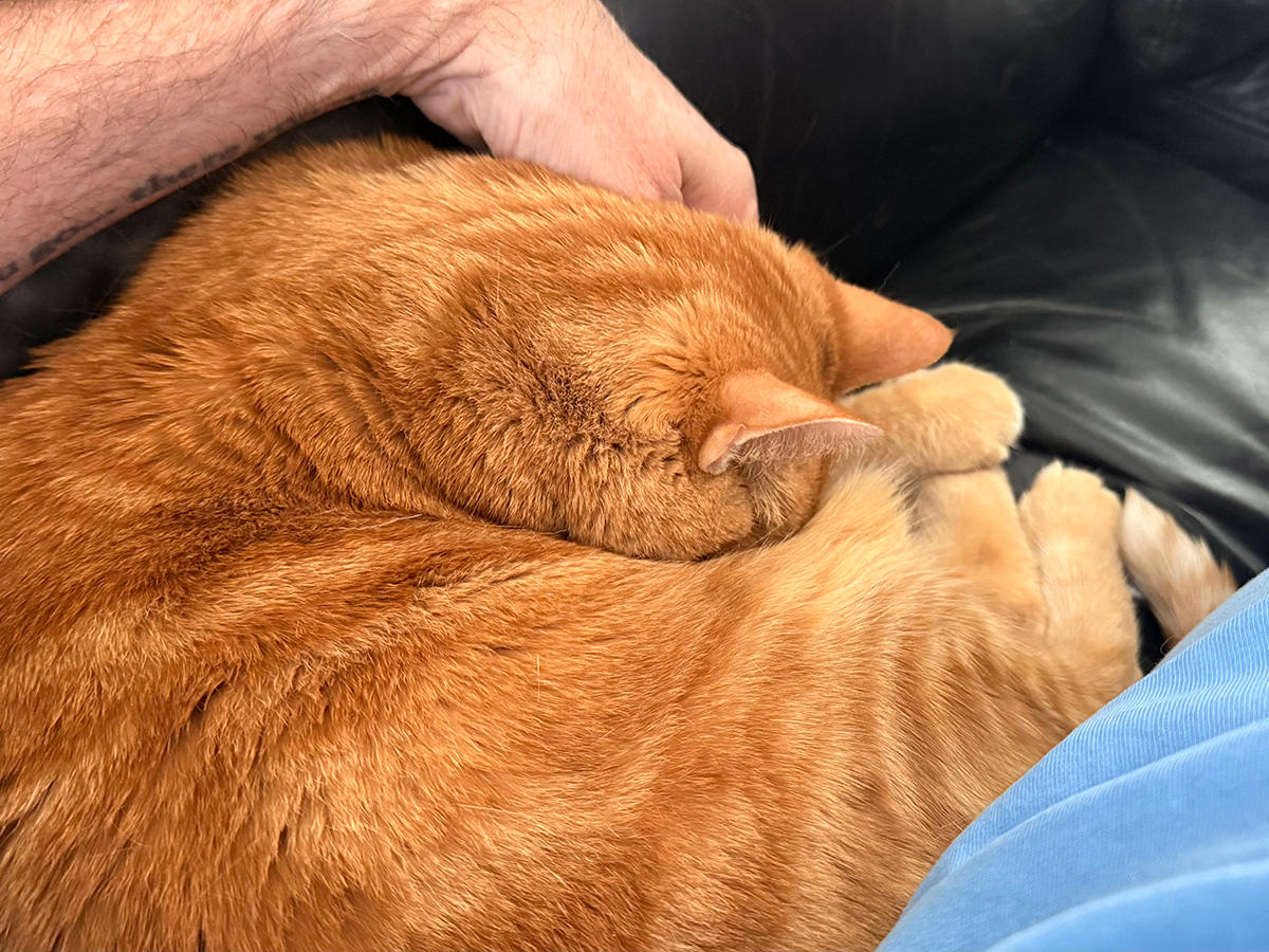 Jenny curled up next to me on the couch.