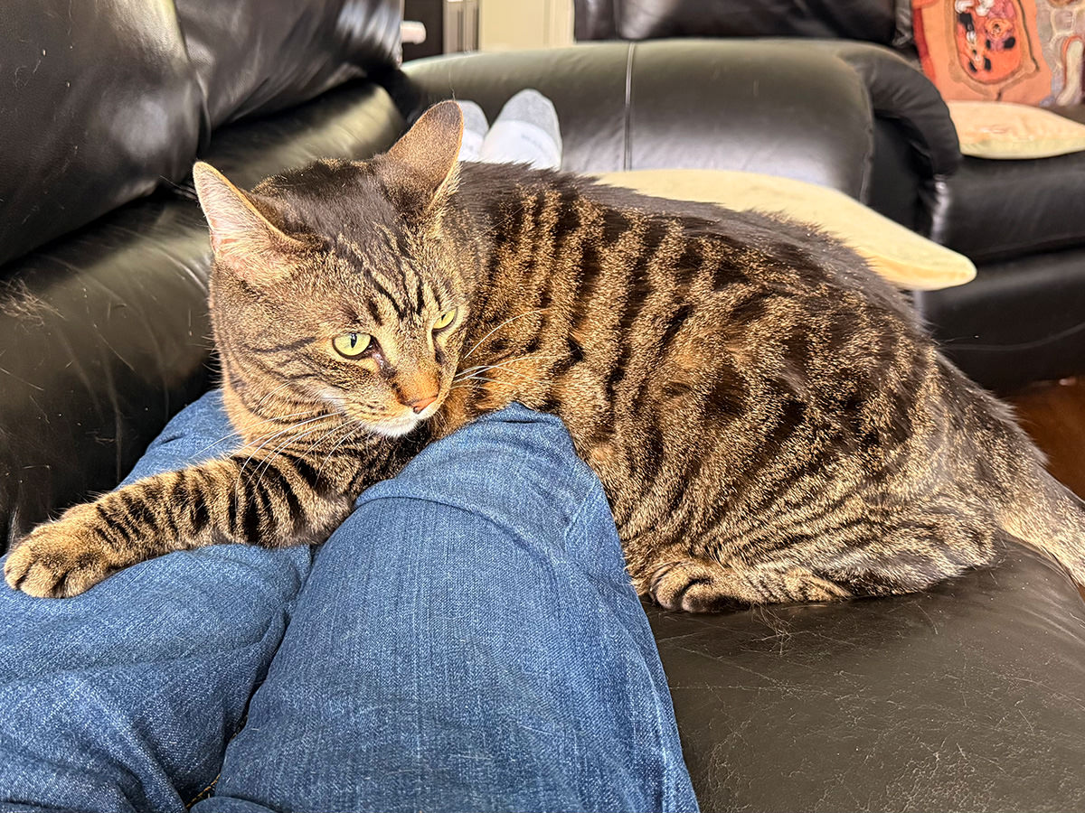 Jake grabbing my legs so I can't leave.