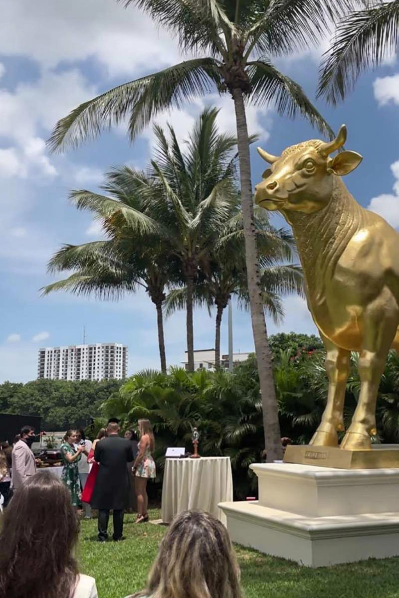 A Golden Calf Statue at Trump's Golf Course.