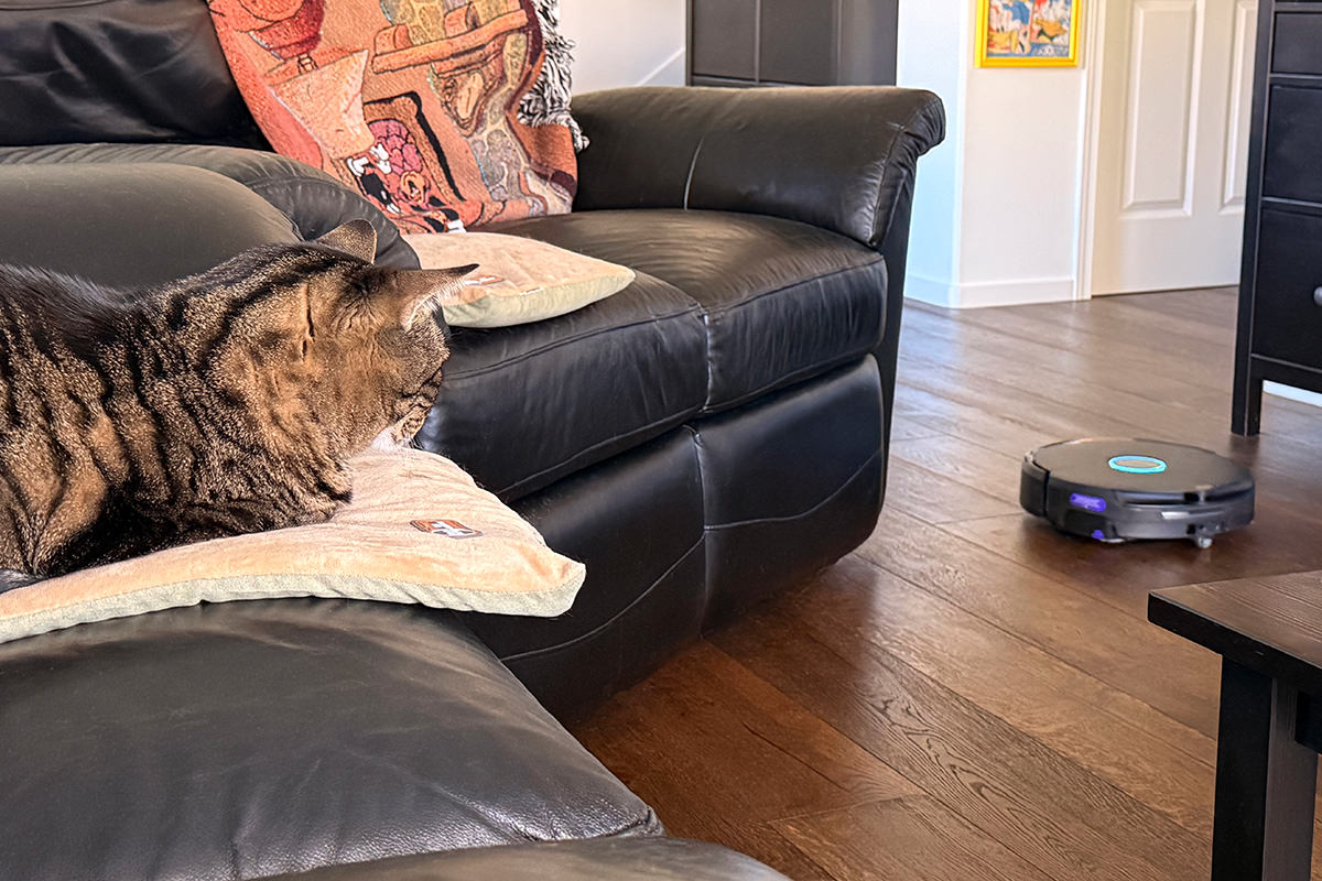 Jake stares at the new vacuum robot.