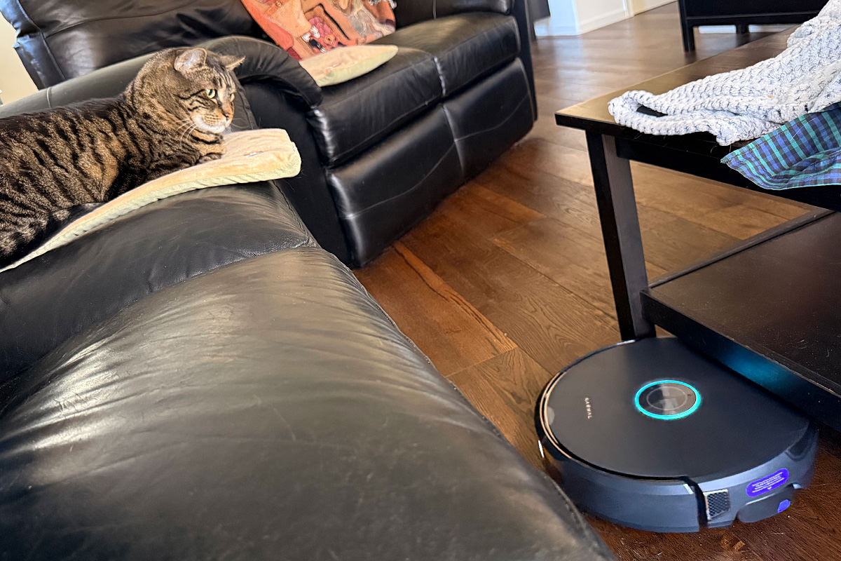 Jake stares at the new vacuum robot.