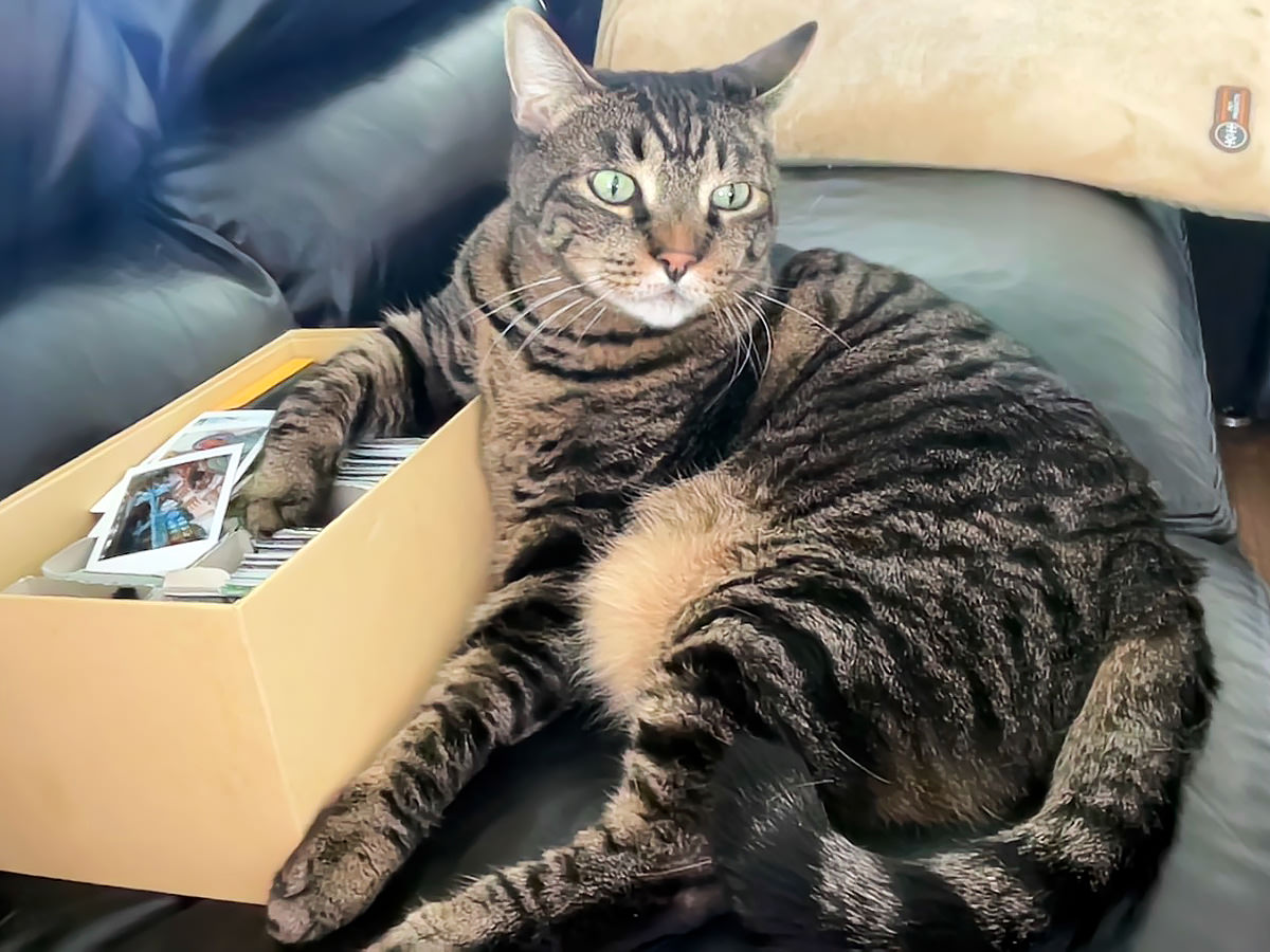 Jake taking my box of Instax instant photos.