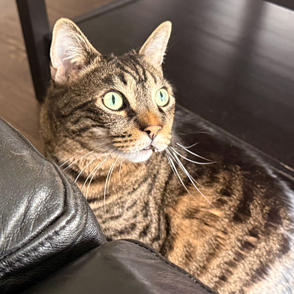 Jake wide-eyed listening to the storm outside