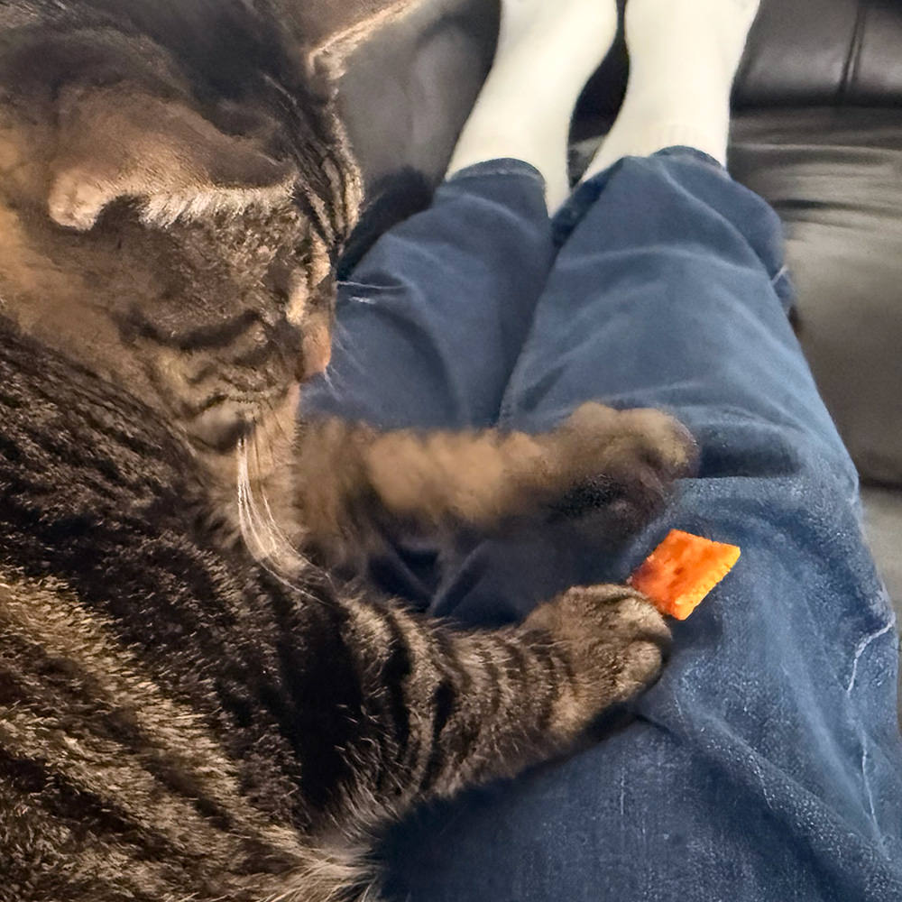 Jake wrangling a Cheez-It