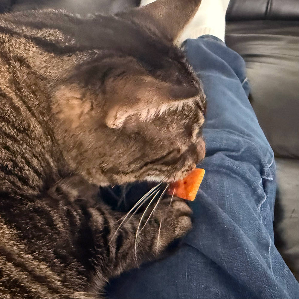 Jake wrangling a Cheez-It