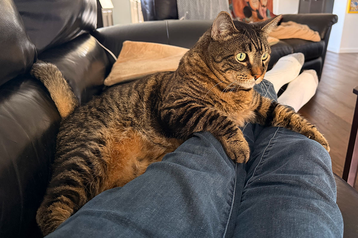 Jake on my legs.