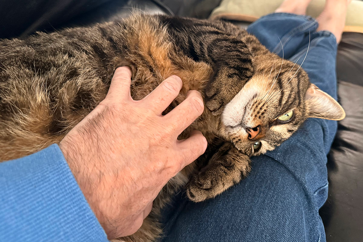 Jake on my lap.