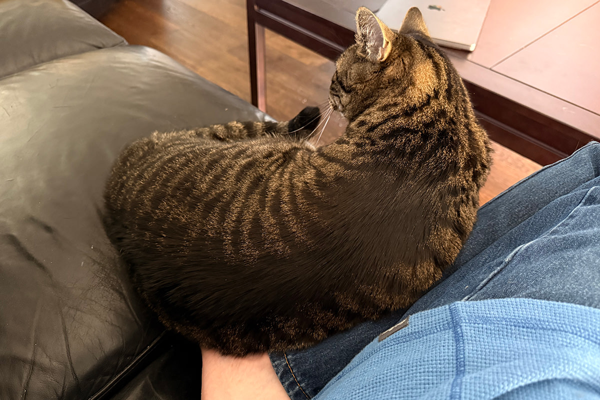 Jake on my feet.