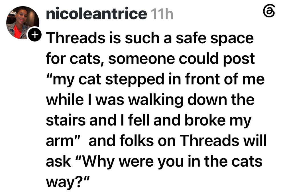 Threads is such a safe space for cats, someone could post that their cat stepped in front of them while they were walking down the stairs and I fell and broke my arm... and folks on Threads will ask why were you in the cat's way?
