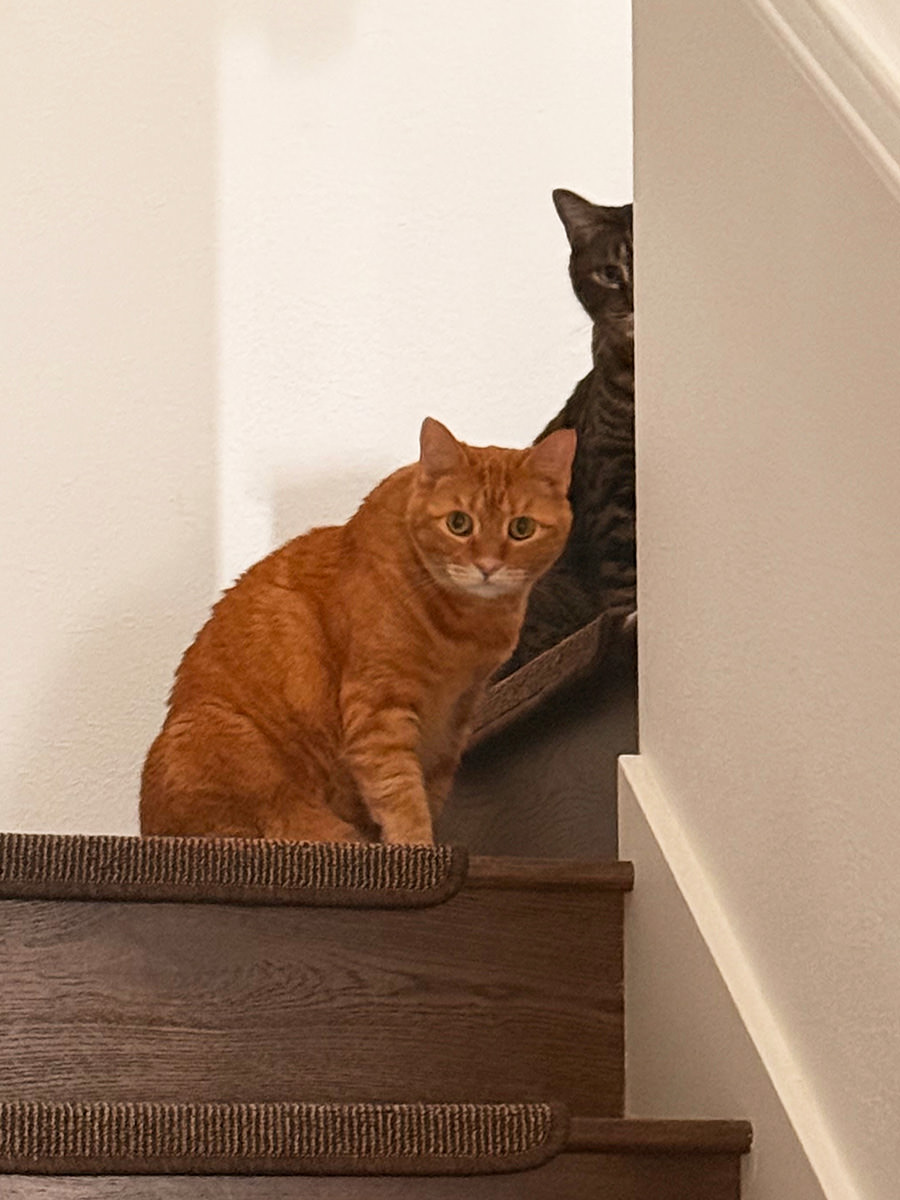 Jake and Jenny at the top of the stairs looking down at me.