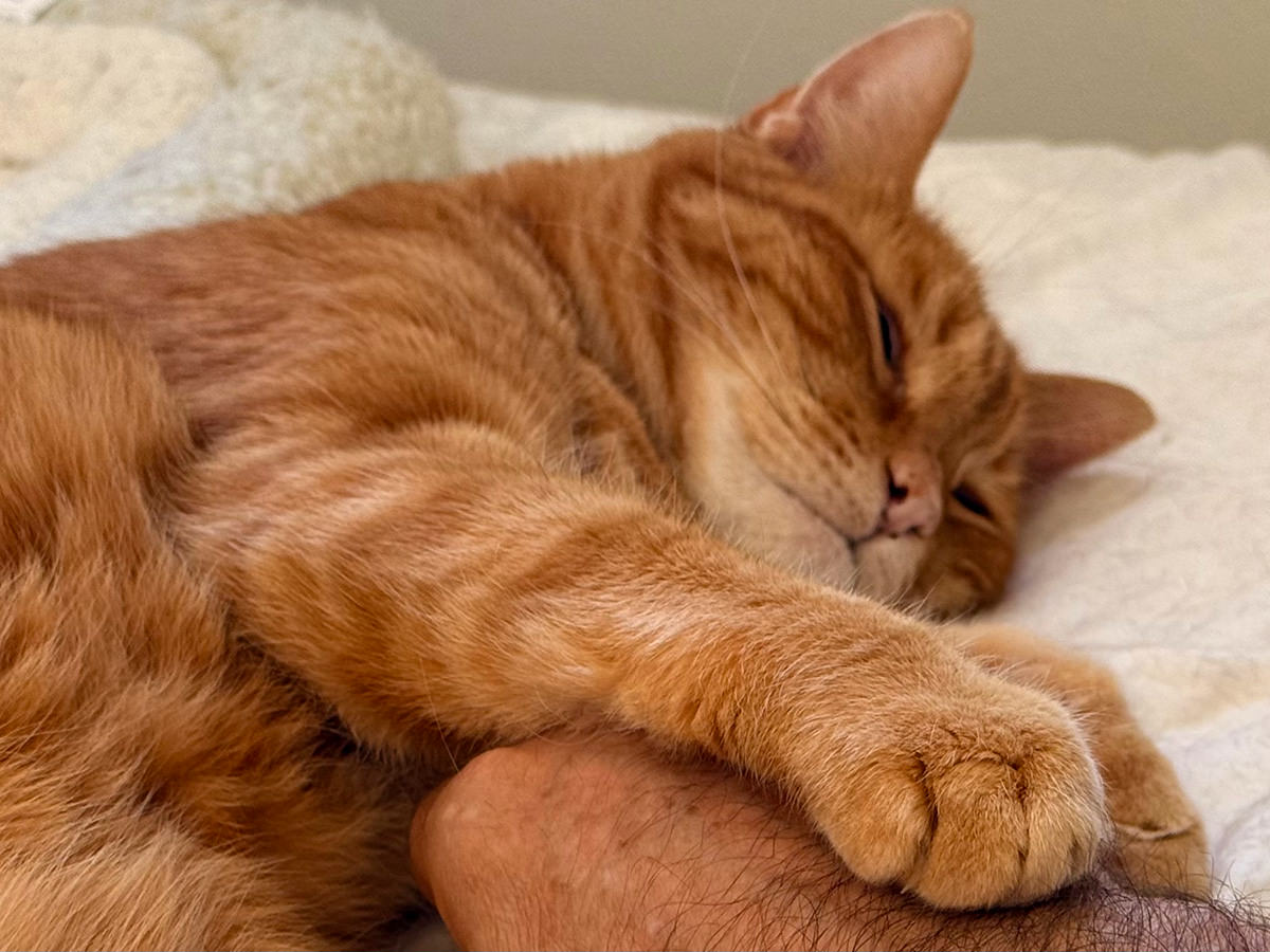 Jenny grabbing my hand.