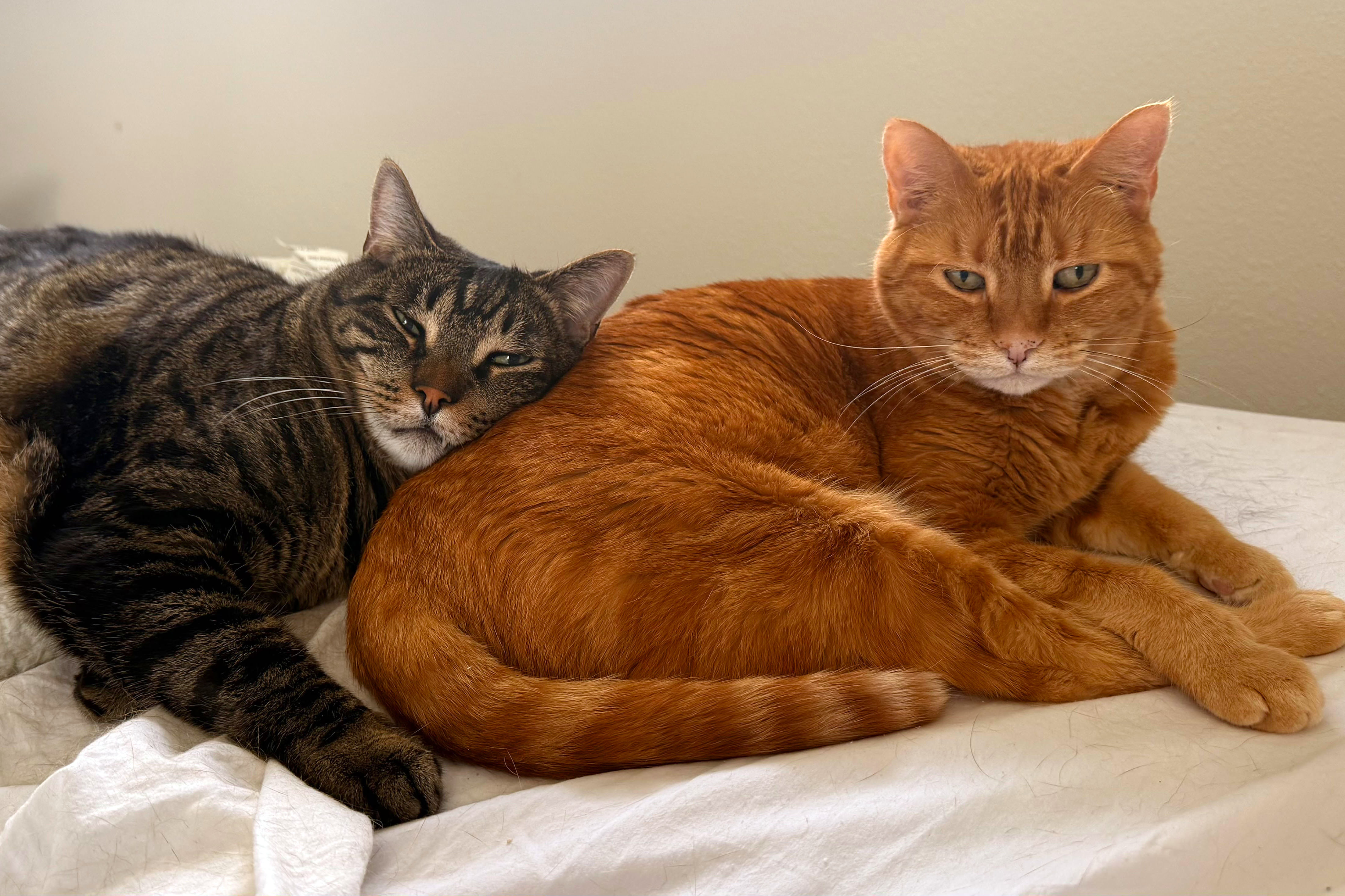 Jake using Jenny's butt as a pillow.