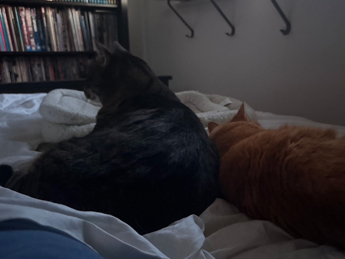 My heath care companions.