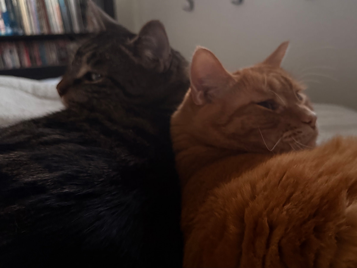 My heath care companions.