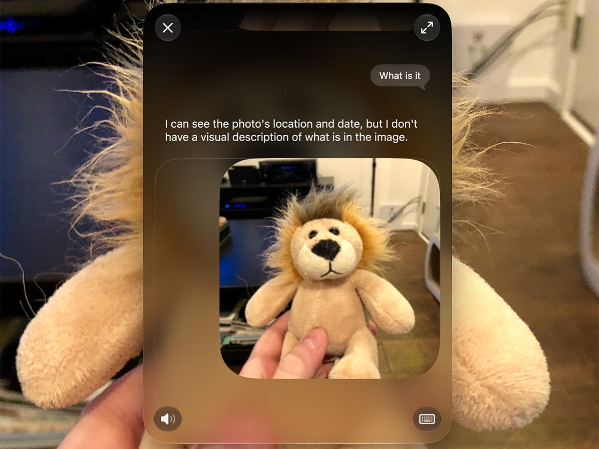 Siri doesn't know what a plush lion toy is.