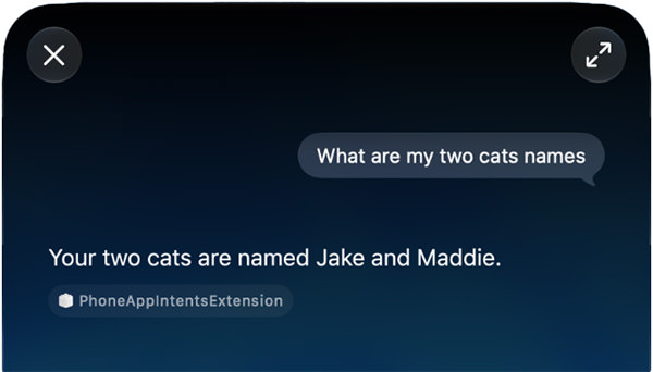 Asking what the names of my cats are... and getting Jake and MADDIE?!??