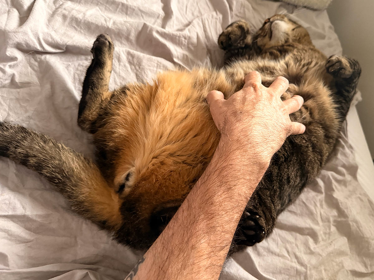 Jake getting a belly rub.