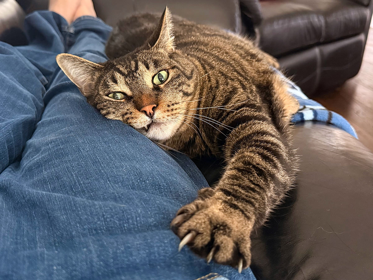 Jake clawing and snarling.